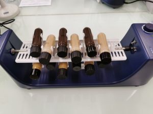 Image1