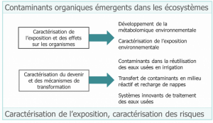 Figure 1 : Thèmes de recherche de l’équipe ContEm