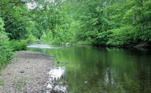 image pixabay eau rivière