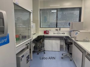 Labo ARN 2025 - Texte OK