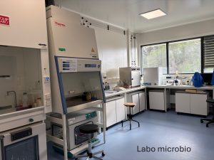 Labo microbio 2025 - Texte OK